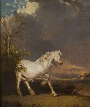 James Ward A horse in a landscape startled by lightning china oil painting image